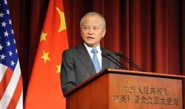 英国驻美大使爆料新闻,揭秘美英关系背后真相