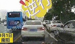 河南各市爆料事件最新,民生安全引关注